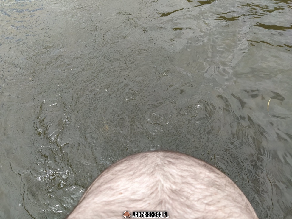 No elo gdzie ty jesteś?! w rzece a gdzie?