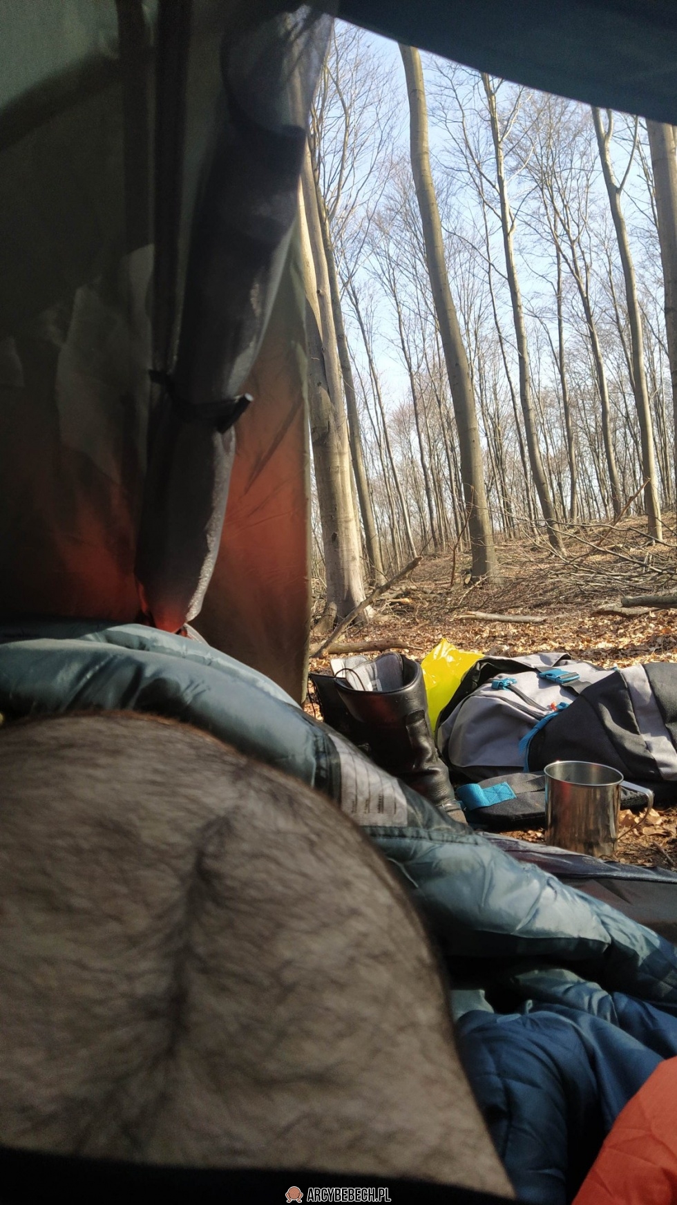 Ło, ale mnie poniosło wczoraj. Dzień dobry